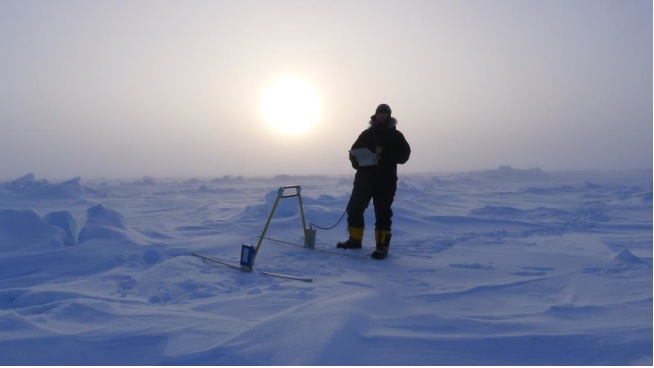 Лоза-1В, антенны 100 МГц, Северный полюс